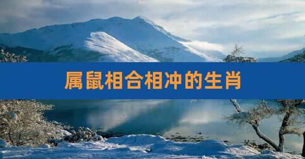 属鼠相合相冲的生肖,属鼠相冲相克的生肖