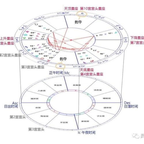 沈灵星宫|星学小百科之星盘的组装