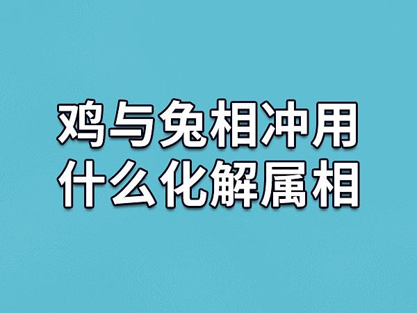 鸡与兔相冲用什么化解属相