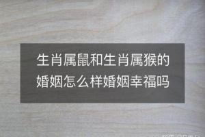 属猪的和属猴的能结婚吗 属猪的和属猴的能不能结婚