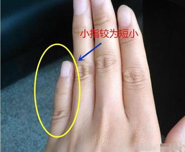 手相:小指的长,短也代表着某种意义|小指|手相|无名指_新浪新闻