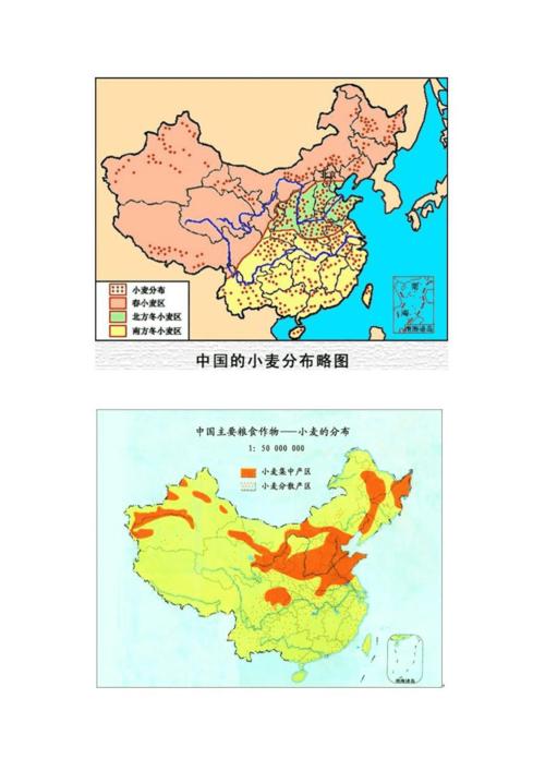 中国小麦主产区的分布doc