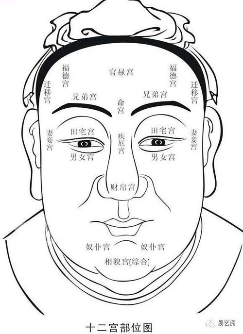 原创学习面相好处多,不仅能了解自己,助力事业成功,还能识人断运