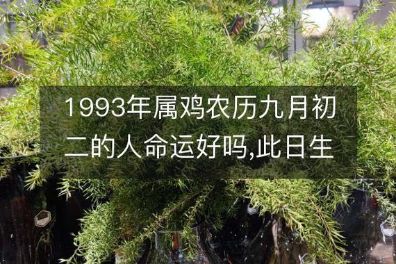 1993年10月16日今日生肖:生肖属鸡今日星座:今日出生的人是天秤座生辰