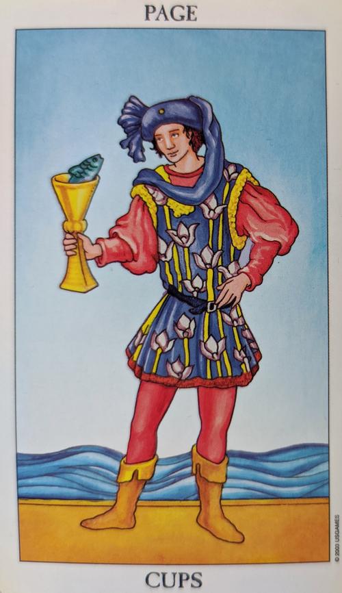 在韦特塔罗的圣杯侍从牌上,年轻人一手拿着杯子,杯子里装象征水元素的