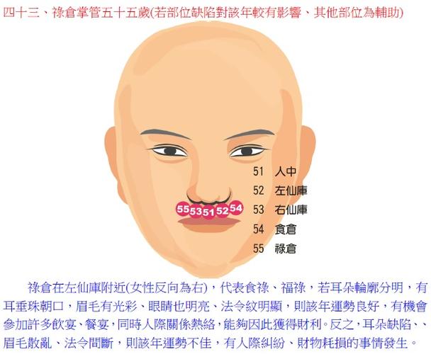 台湾面相大师陈哲毅细论面相百岁流年部位(禄仓四十三)