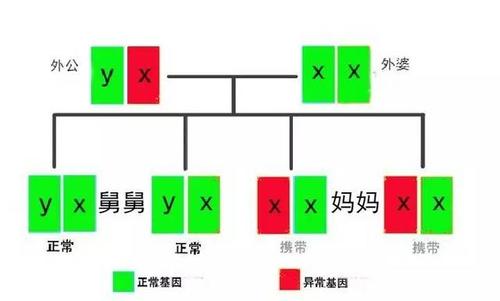 外公身上的病为何会遗传到外孙身上?