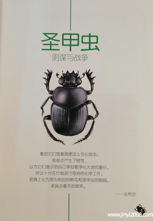 昆虫记完整版电子书昆虫记圣甲虫外形和生活特征