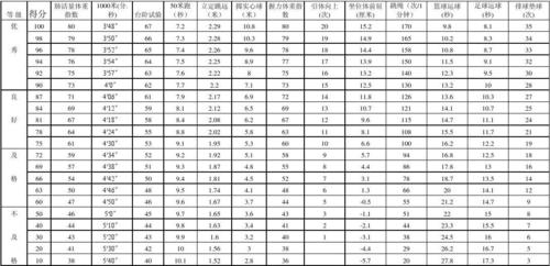 学生体质健康标准评分表