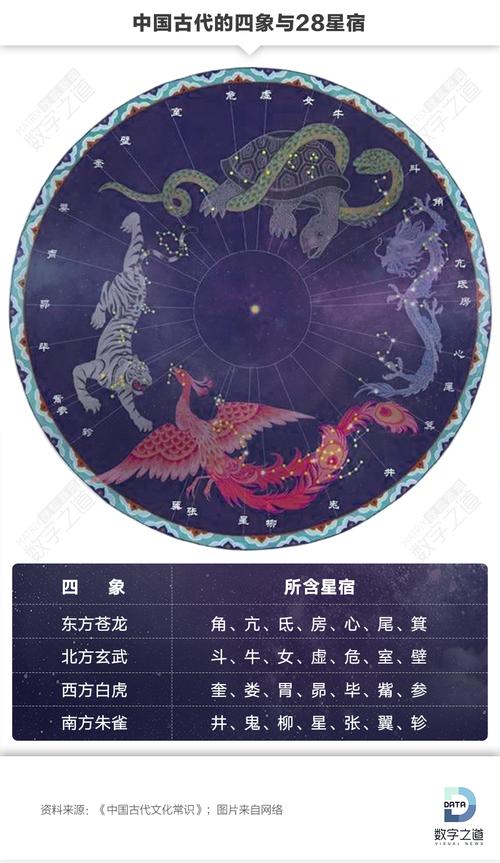 28星宿图鉴丨古人仰望星空时看到了什么?