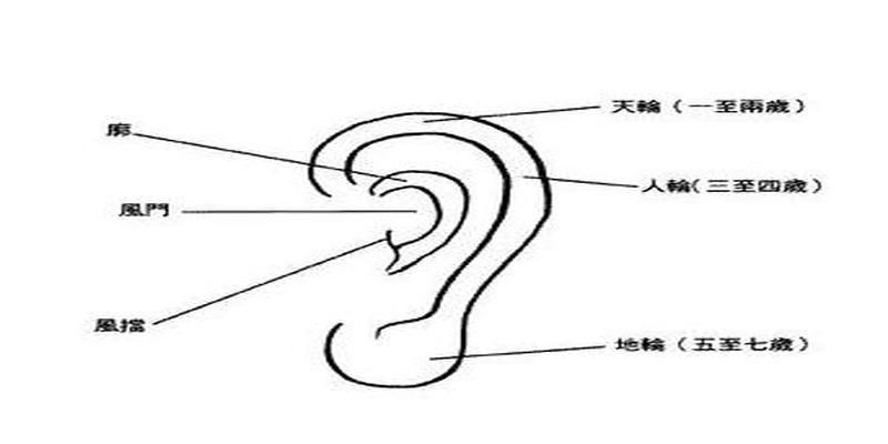 周易面相学耳朵传统相法秘技