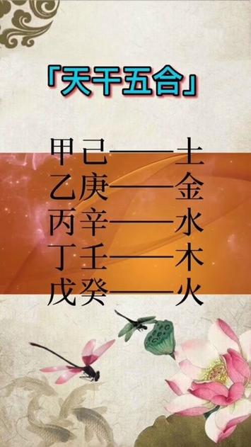 甲乙丙丁戊己庚辛壬癸天干五合了解一下你学会了吗dou小助手