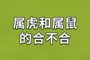 属鼠和属虎的姻缘如何，输入生日，可以查一生命数，准到吓人!