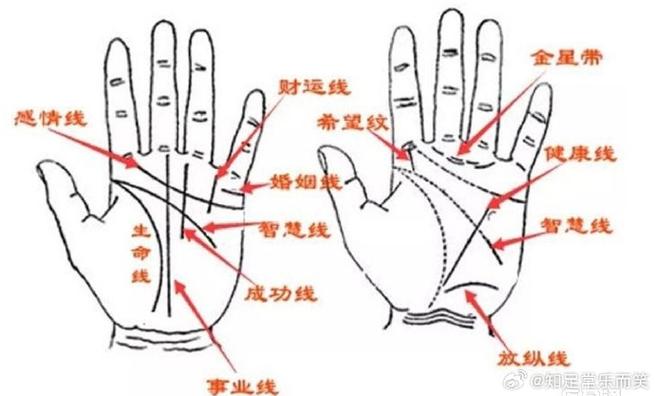 手相中除了看财运线能看出一个人的财运如何,还能从哪些特征看出来呢?