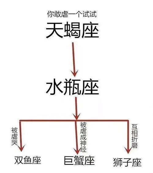 水瓶座独特的性格特点,深度解析独一无二的瓶子