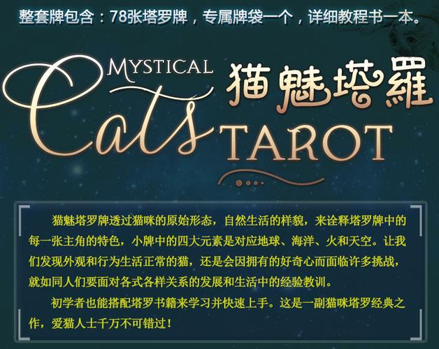 猫魅塔罗牌韦特系全套78张初学者原版引进套装游戏牌含无纺桌布 猫魅