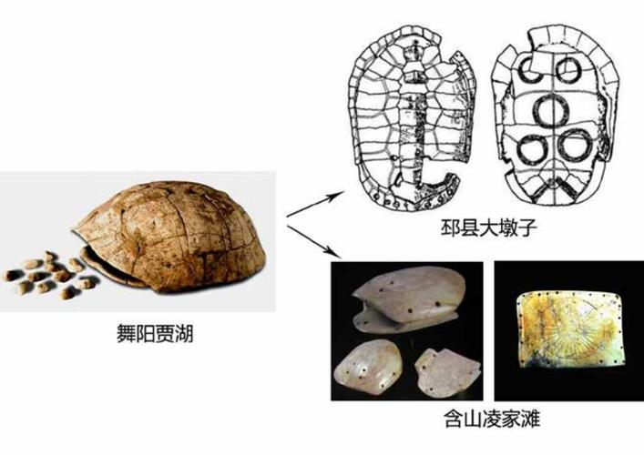 王巍融通夷夏淮河流域史前文明发展脉络一