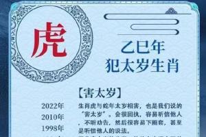 两个属虎的人结婚容易产生矛盾?解析配对优缺点