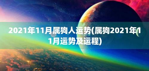 2023年11月属狗人运势(属狗2023年11月运势及运程)