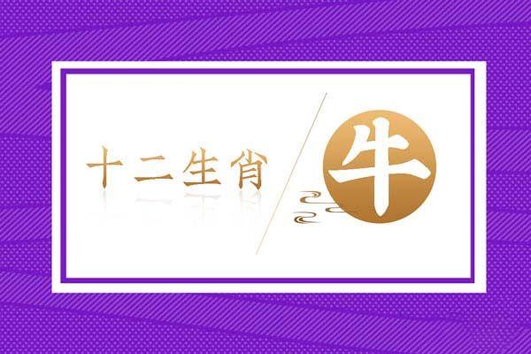 1973年属牛的今年几岁了 50岁的属牛人2023年运势及运程详解