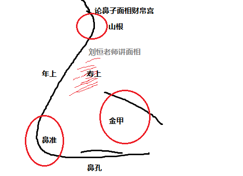 《麻衣相法》刘恒注解,鼻子面相之财帛宫