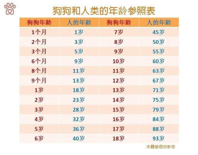 生肖属狗的有哪些年份_兔生肖有那些年份_属狗的生肖养什么狗最好?