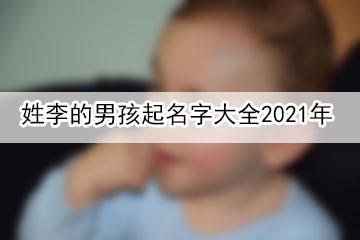 姓李的男孩起名字大全2023年-起名网