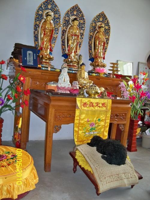 十方普觉寺有只小狗吃素修行,往生西方净土