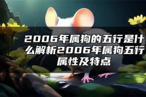 2006年属狗的五行是什么?解析2006年属狗五行属性及特点