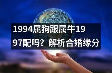 1994属狗跟属牛1997配吗?解析合婚缘分