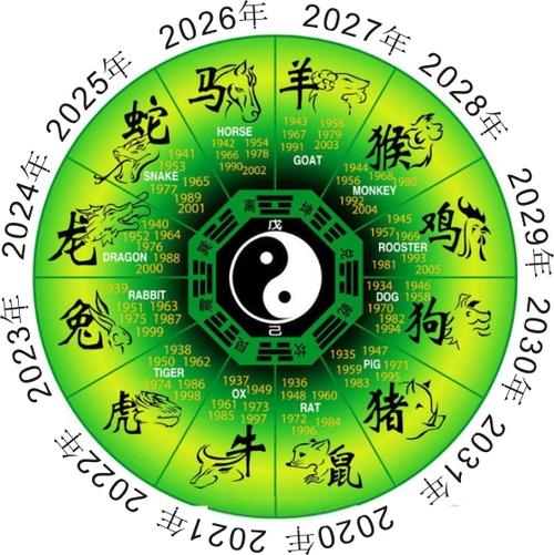 2023年属相虎的名字2023年五行属什么