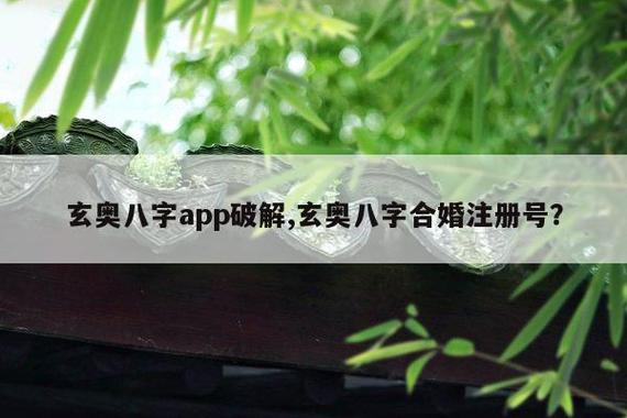 玄奥八字app破解,玄奥八字合婚注册号? 第1张