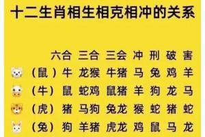 1987年出生的属兔人2024年综合运势